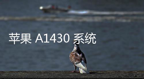 蘋果 A1430 系統修復方法