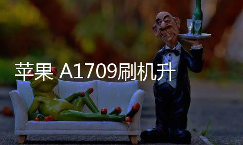 蘋果 A1709刷機(jī)升級(jí)IOS 17.1.1教程，ios升級(jí)修復(fù)教程