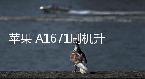 蘋果 A1671刷機升級IOS 17.1.1教程，ios升級修復教程