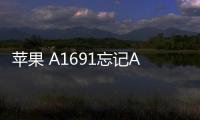 蘋果 A1691忘記Apple ID和密碼怎么辦？找回方法