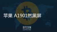 蘋果 A1901然黑屏打不開?蘋果手機黑屏解決方法