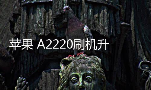 蘋果 A2220刷機(jī)升級(jí)IOS 17.1.1教程，ios升級(jí)修復(fù)教程