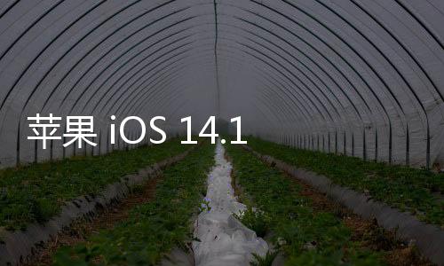 蘋果 iOS 14.1/iPadOS 14.1 正式版發(fā)布，新增多項(xiàng)功能