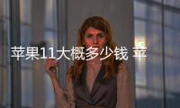 蘋果11大概多少錢 蘋果iphone多少錢