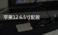 蘋果12 6.5寸配置參數表？（蘋果12配置參數表）