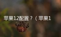 蘋果12配置？（蘋果12參數詳細參數）