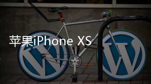 蘋果iPhone XS Max（全網通）怎么刷機？刷機軟件教程詳解