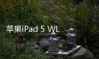 蘋果iPad 5 WLAN版手機突然黑屏打不開怎么辦