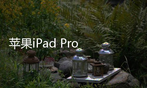 蘋果iPad Pro 2(10.5)手機突然黑屏打不開怎么辦