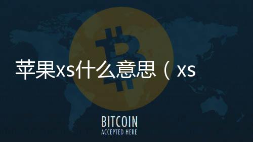 蘋果xs什么意思（xs什么意思）