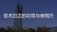 蒼術(shù)白芷的功效與使用方法詳解