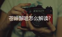 蒼誹懈咀怎么解讀?