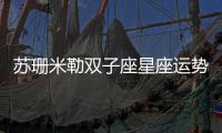 蘇珊米勒雙子座星座運勢2022年
