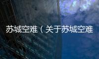 蘇城空難（關于蘇城空難的基本情況說明介紹）