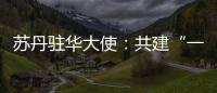 蘇丹駐華大使：共建“一帶一路”凝聚起發(fā)展中國家的心