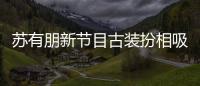 蘇有朋新節(jié)目古裝扮相吸睛 網(wǎng)友：仿佛吃了防腐劑