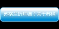 蘇格蘭折耳貓（關于蘇格蘭折耳貓的基本情況說明介紹）