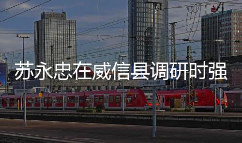 蘇永忠在威信縣調(diào)研時強(qiáng)調(diào) 弘揚(yáng)革命精神 汲取奮進(jìn)力量 走好新時代長征路