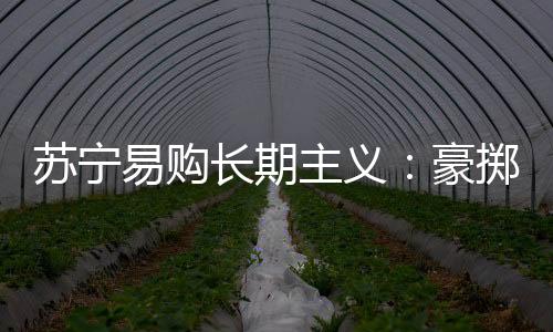 蘇寧易購長期主義：豪擲10億購回債券