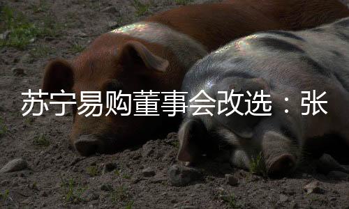 蘇寧易購董事會改選：張近東退出，黃明端極可能接任董事長