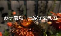 蘇寧易購：三家子公司為公司及子公司融資提供不超過6億元擔保