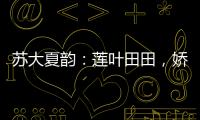 蘇大夏韻：蓮葉田田，嬌荷點(diǎn)點(diǎn)