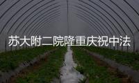 蘇大附二院隆重慶祝中法友好醫院成立20周年