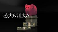 蘇大&川大ACS NANO: 雙金屬Co7Fe3增強多硫化物的催化轉化用于高性能Li