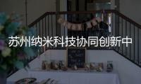 蘇州納米科技協同創新中心揭牌儀式<br>暨納米技術應用聯盟成立大會舉行