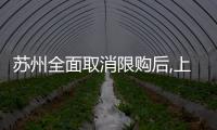 蘇州全面取消限購后,上海剛剛發(fā)布了最新限購政策