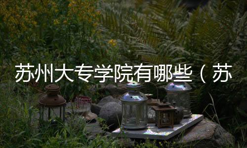 蘇州大專學院有哪些（蘇州大專院校有哪些）
