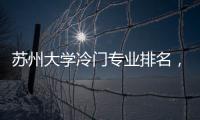 蘇州大學冷門專業排名，大學十大冷門專業最新排名，核電專業僅第五