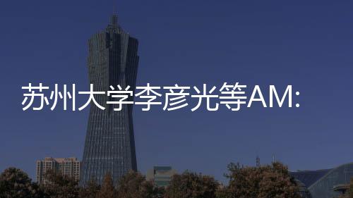 蘇州大學李彥光等AM: Ir1