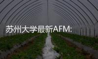 蘇州大學最新AFM: 功能性氟化溶劑助力長壽命硅負極電池開發 – 材料牛