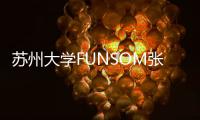 蘇州大學(xué)FUNSOM張橋課題組： Co