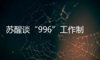 蘇醒談“996”工作制：關鍵在于熱愛和風險承擔