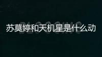 蘇莫婷和天機星是什么動漫