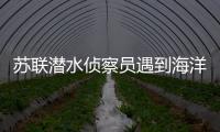 蘇聯潛水偵察員遇到海洋人類 身長竟達3米高