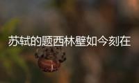 蘇軾的題西林壁如今刻在哪個地方 公考