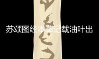 蘇頌圖經(jīng)本草記載油葉出油勝諸子指的是（蘇頌）