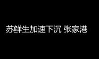 蘇鮮生加速下沉 張家港首店9月12日開(kāi)業(yè)