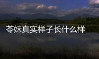苓妹真實樣子長什么樣 和IG選手合拍被彭昱暢夸贊魅力大