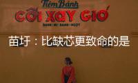 苗圩：比缺芯更致命的是操作系統短缺
