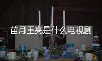苗月王亮是什么電視劇