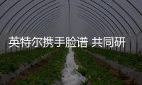 英特爾攜手臉譜 共同研發(fā)人工智能芯片