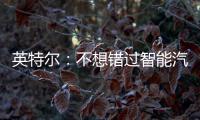 英特爾：不想錯過智能汽車