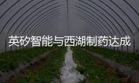 英矽智能與西湖制藥達成合作 加速冠狀病毒創新藥物研發