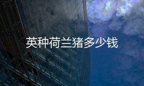 英種荷蘭豬多少錢