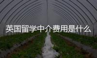 英國(guó)留學(xué)中介費(fèi)用是什么？ 英國(guó)藝術(shù)專業(yè)留學(xué)中介