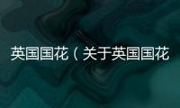英國國花（關于英國國花的基本情況說明介紹）